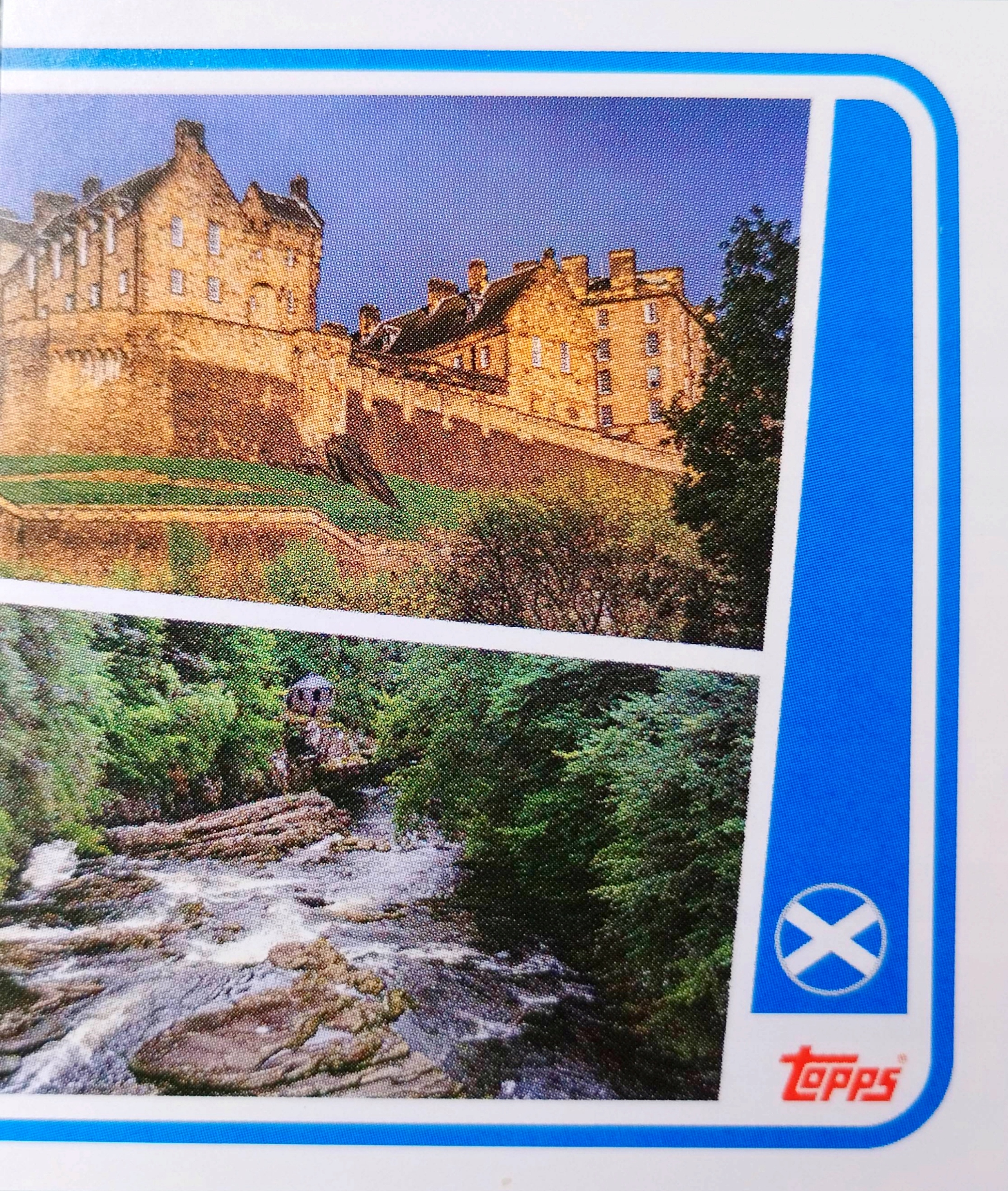 Euro 2024 Topps Match Attax naklejka Sco P2 Szkocja