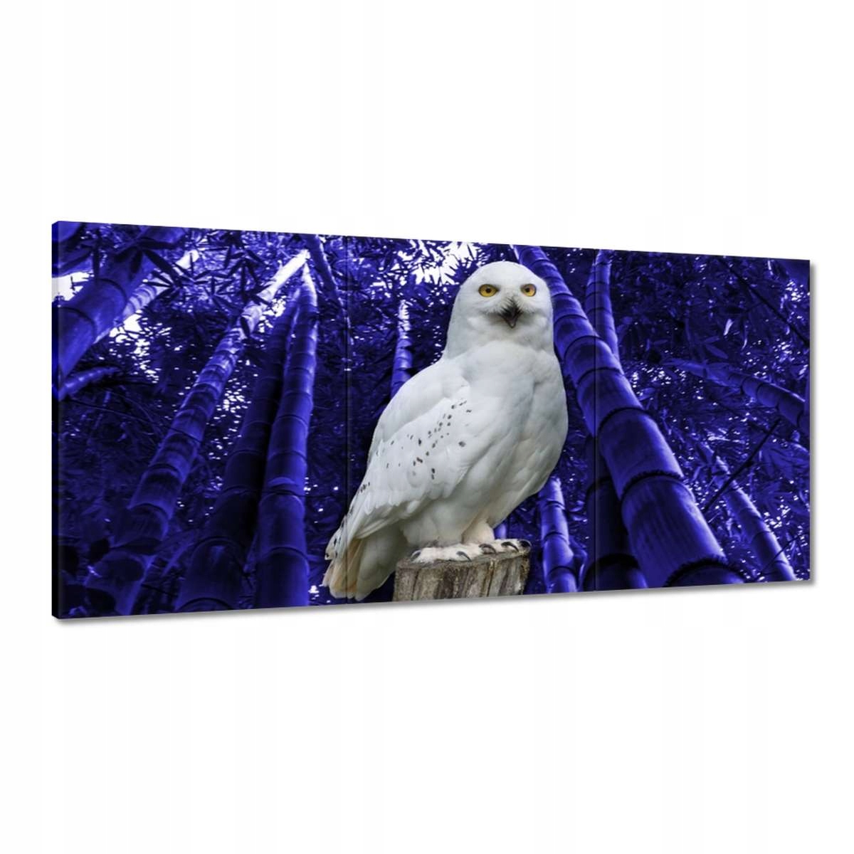 Obrazy 180x90 Lovec na stanici Sova