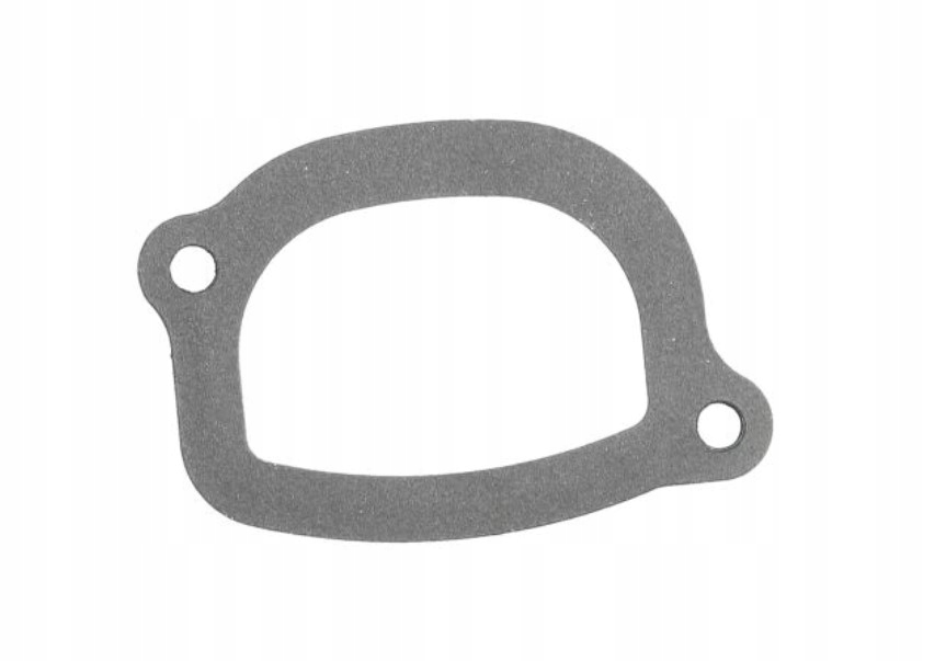 Uszczelka termostatu Fiat FACET 7.9505 7604488