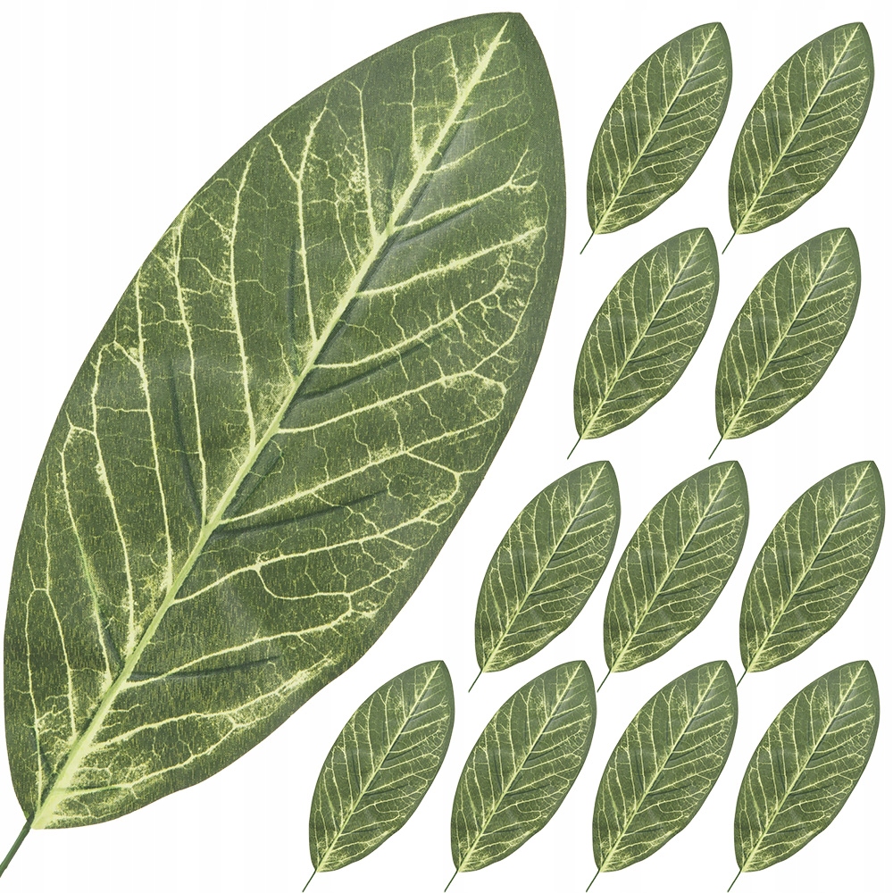 

Liść Ozdobny Liście Na Stroiki Na Cmentarz 12szt