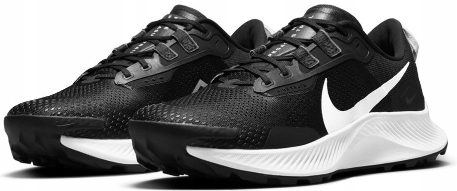

Buty Męskie Nike Pegasus Trail 3 Do Biegania 40,5