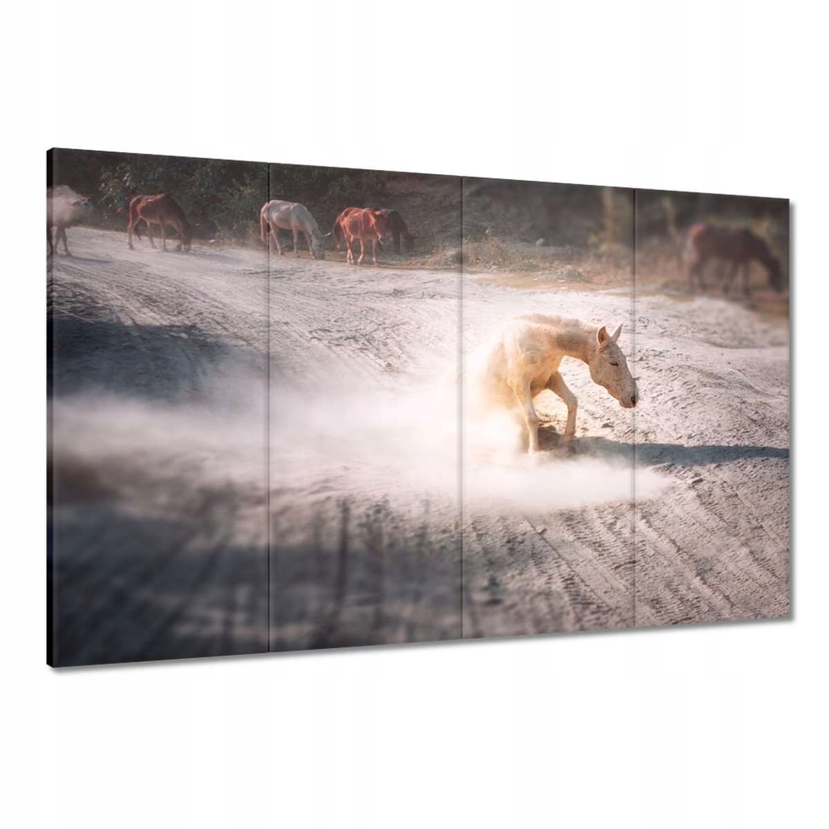 Obrazy 120x80 Kůň Koně Jezdectví