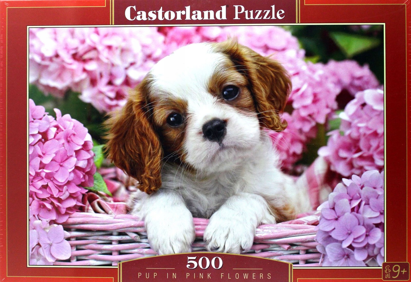 

Castro 500 El.pup In Pink Flowers (puzzle)