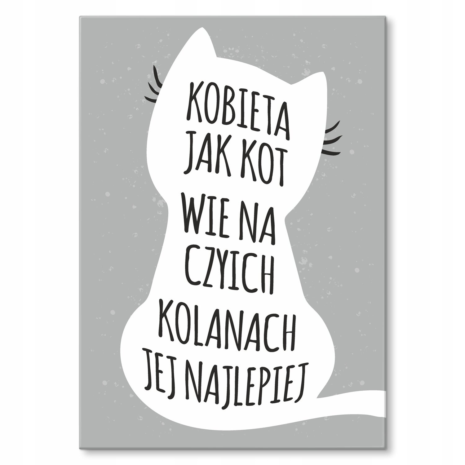 Kovový plakát Žena Jako Kočka Šidítko Plech 30 x 42 cm Dárek