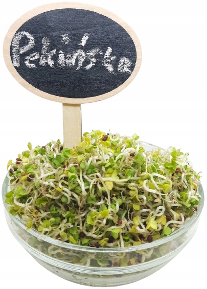 Levně Pekingská Kapusta Semínka Na Klíčky 500 g