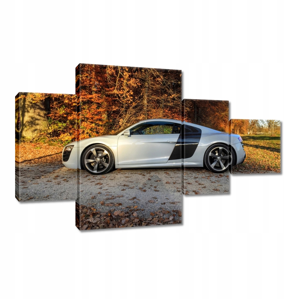 

Obrazy 130x80 Jesienne Audi Samochód