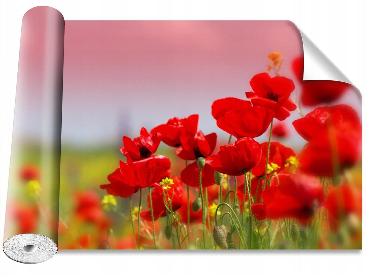 

Tapeta Samoprzylepna MagicStick Maki Pole 104x70