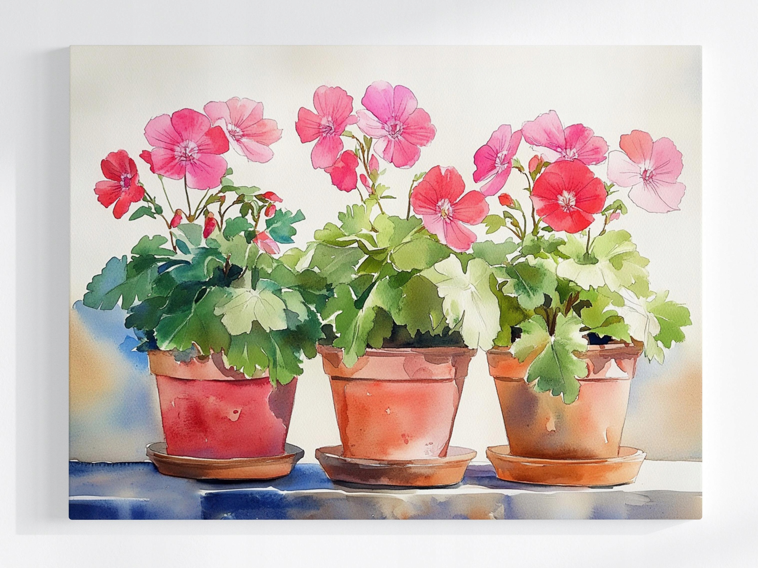 Obraz Na Plátně Canvas Dekorace Květináče Květiny Pelargonie 80x60