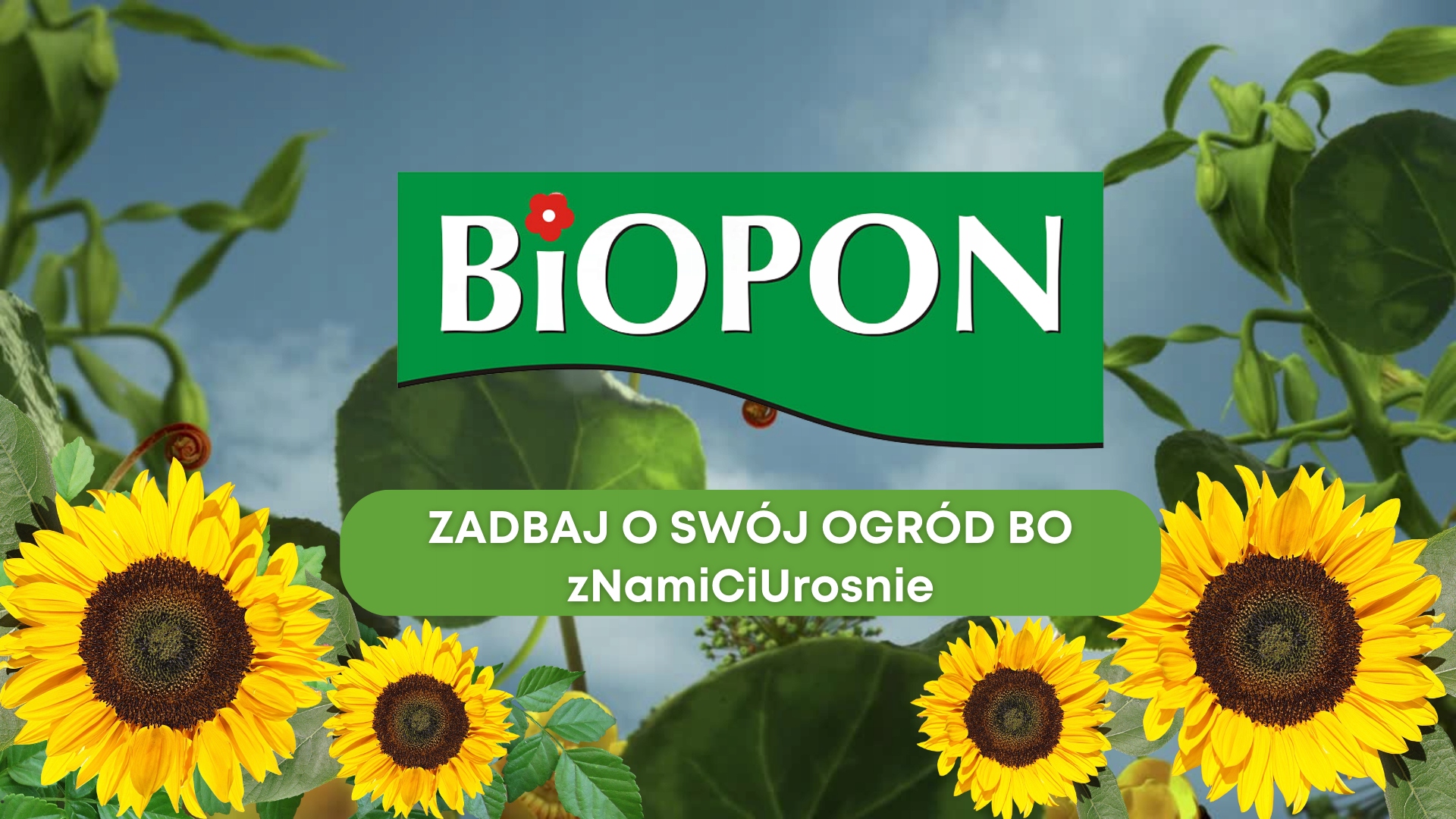 BIOPON NAWÓZ ELIKSIR ODŻYWKA Z WITAMINAMI 35ML Waga 0.04 kg