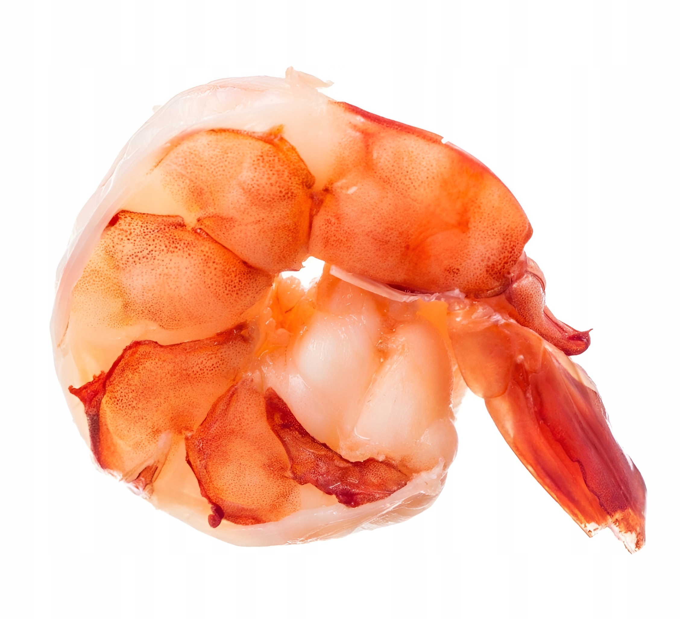 Krewetki Królewskie 16/20 surowe mrożone obrane Bardzo duże 2/1,6 kg