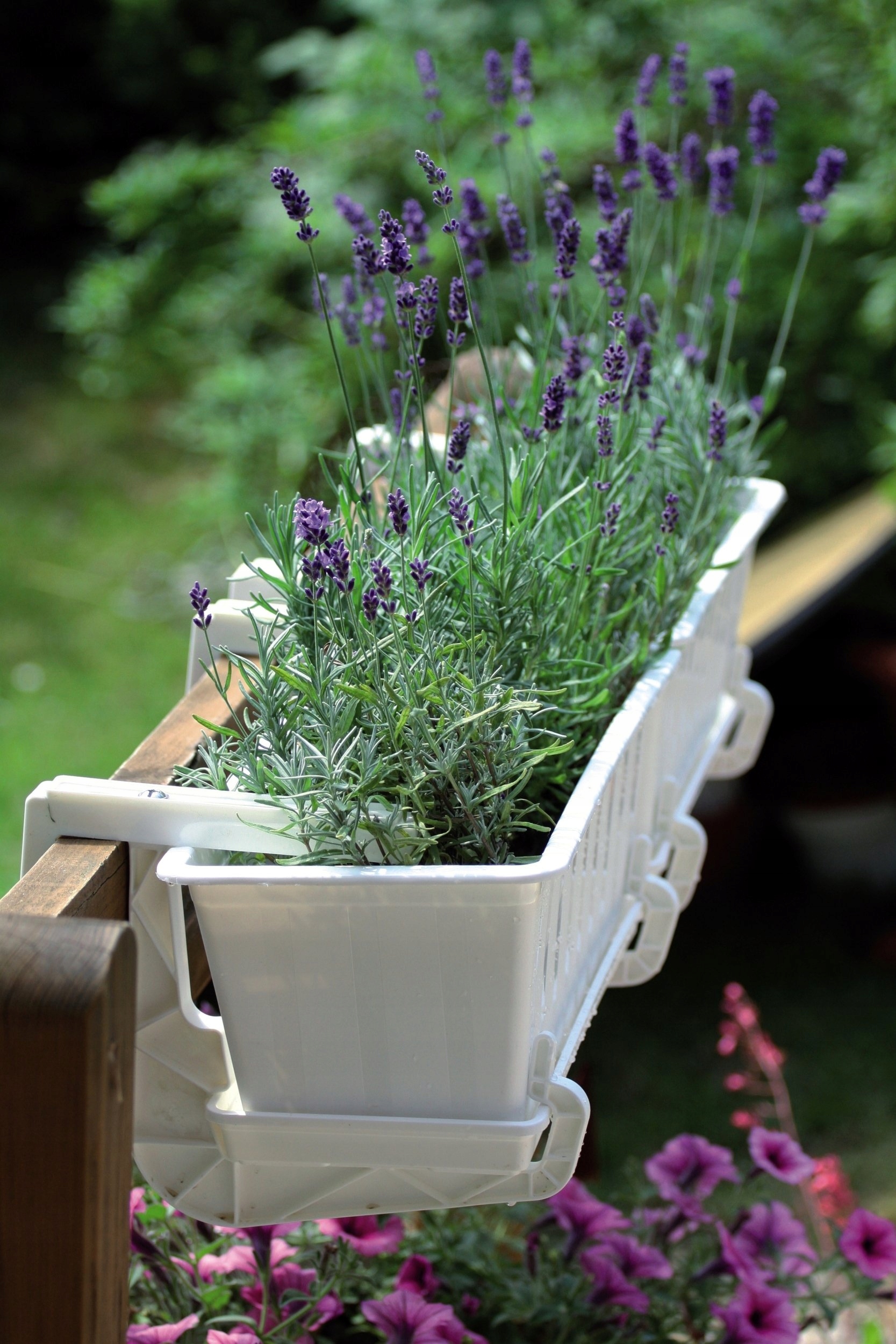 Uchwyt balkonowy HANGPLAST do doniczek, skrzynek Marka Prosperplast