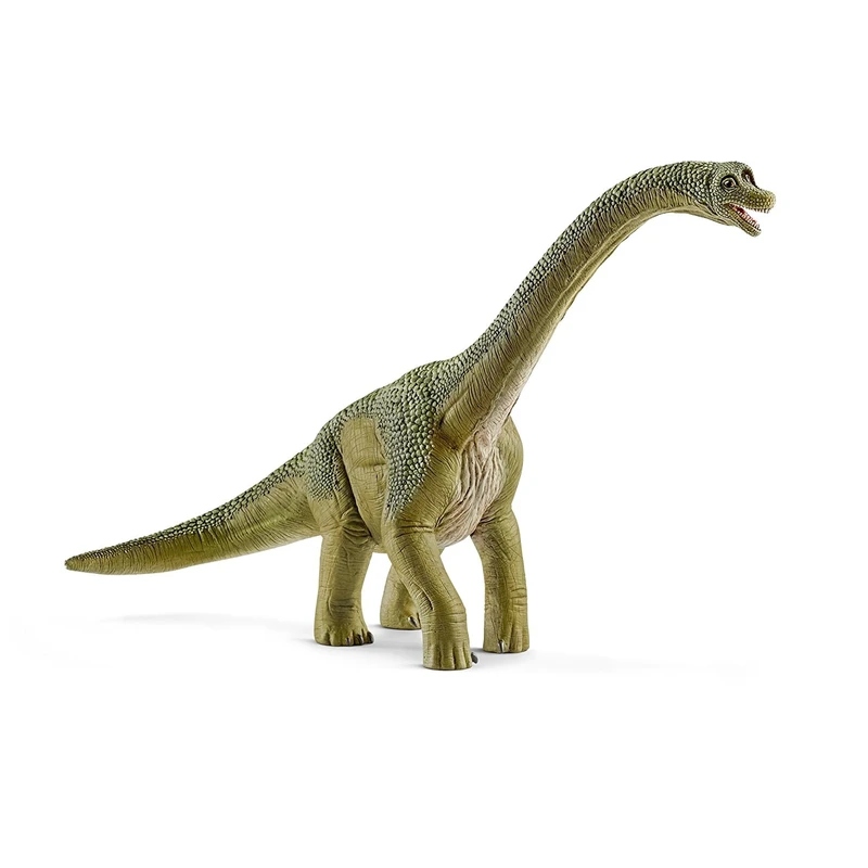 Brachisaurus