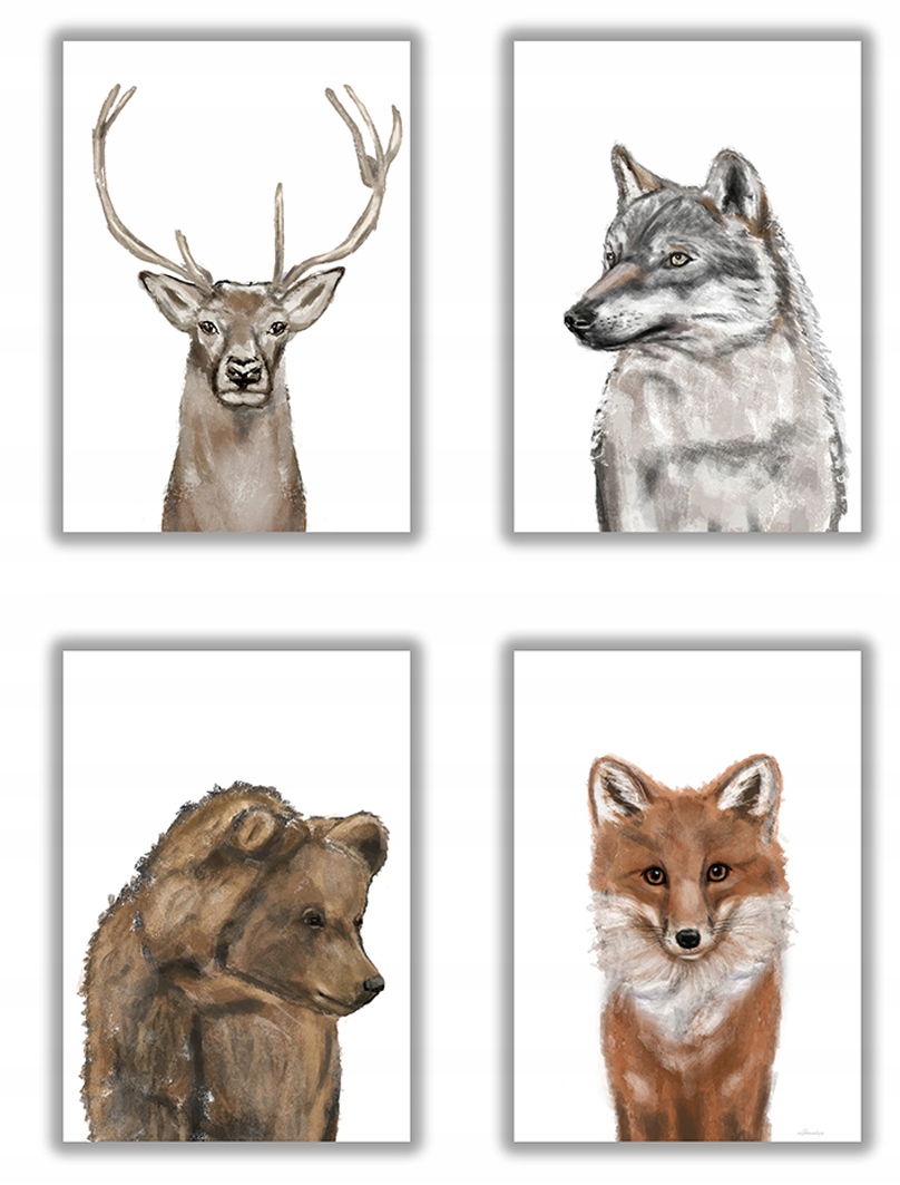 

4 x plakat las lis miś niedźwiedź wilk jeleń a4