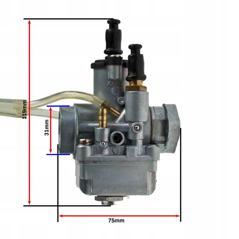 6483c88e46af9c752682519061c3