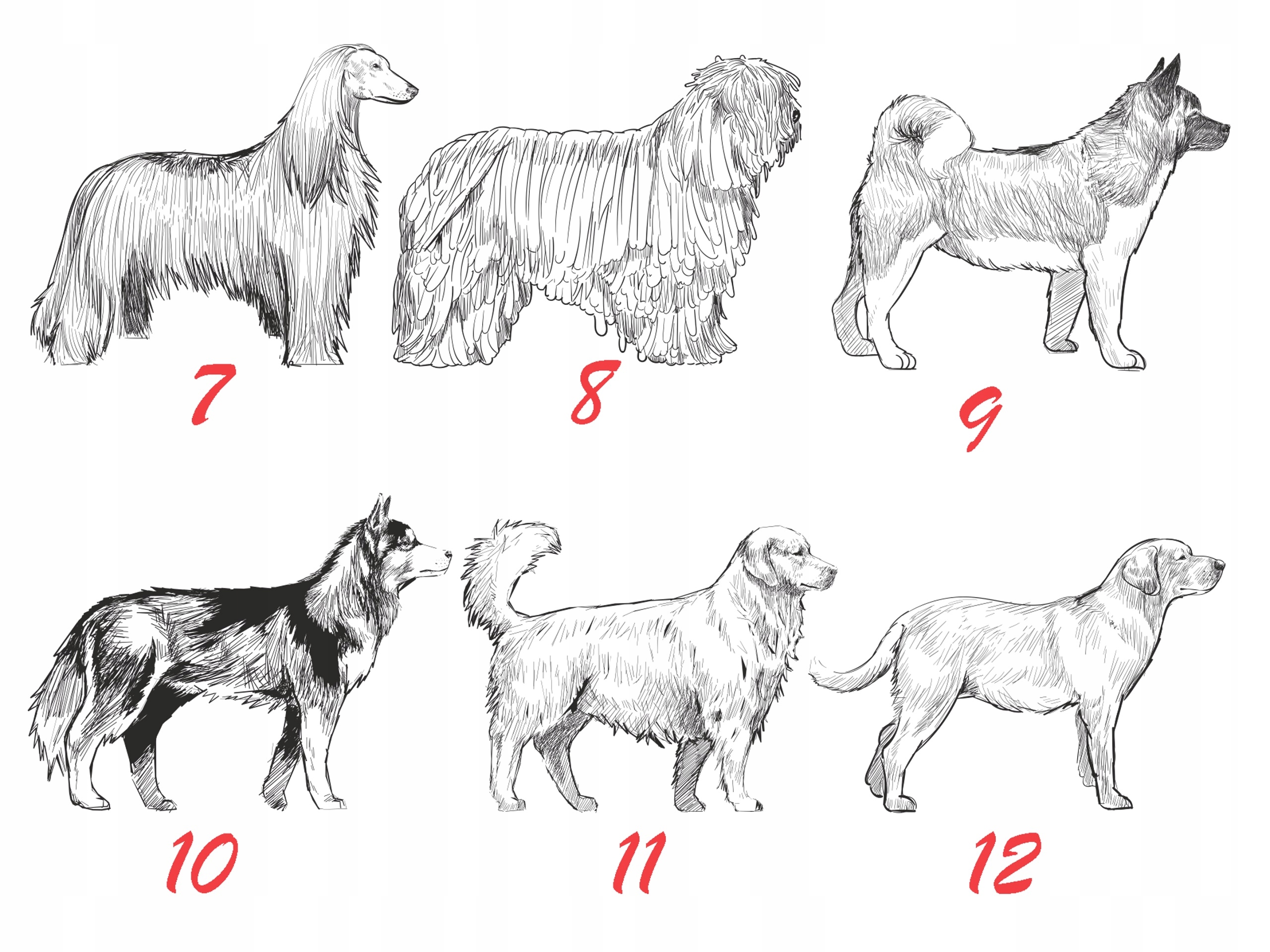 TABLICZKA UWAGA PIES OSTRZEGAWCZA 30X20 ALUMINIUM Szerokość produktu 30 cm