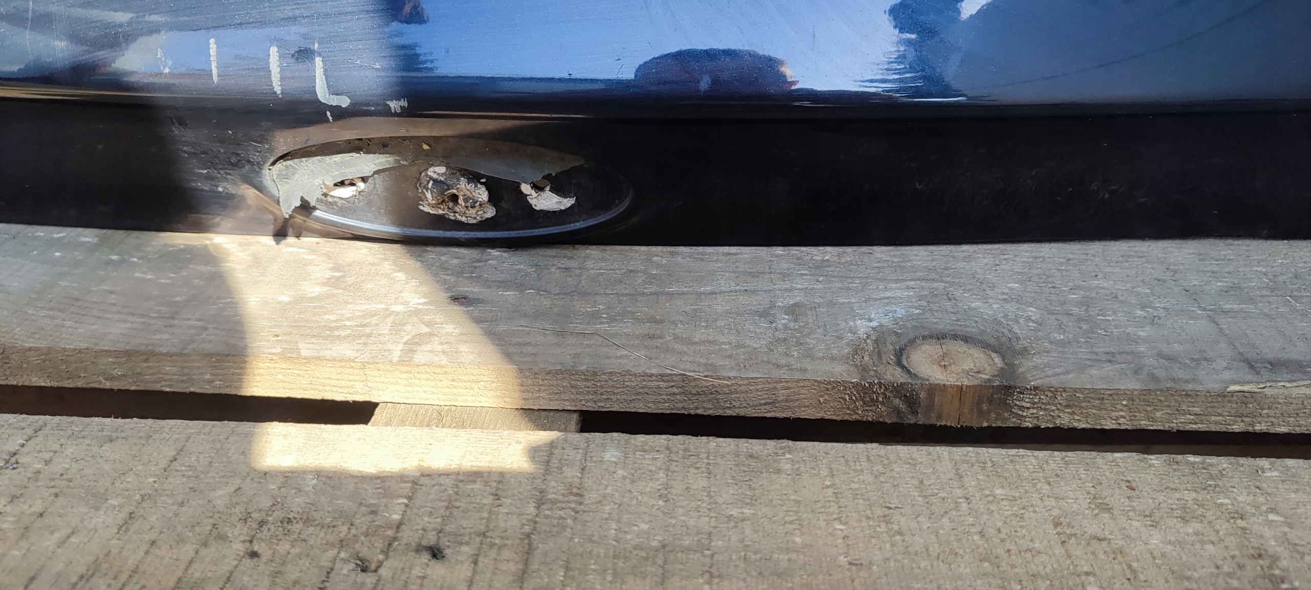 boot door cap window ford kuga