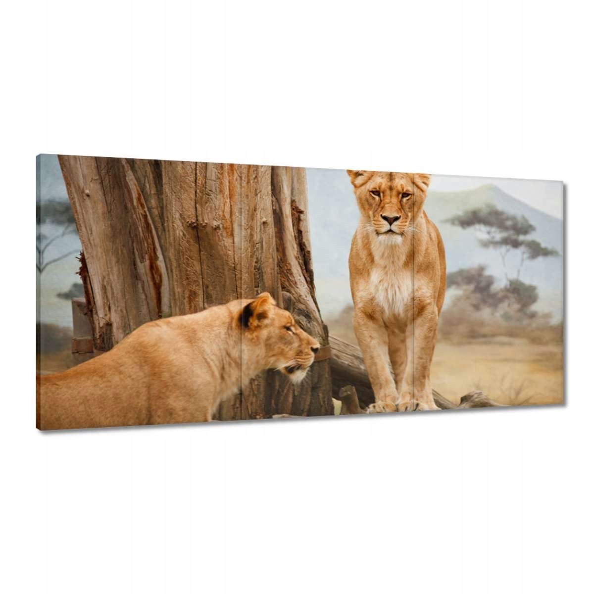 Obrazy 180x90 Levy v Afrike