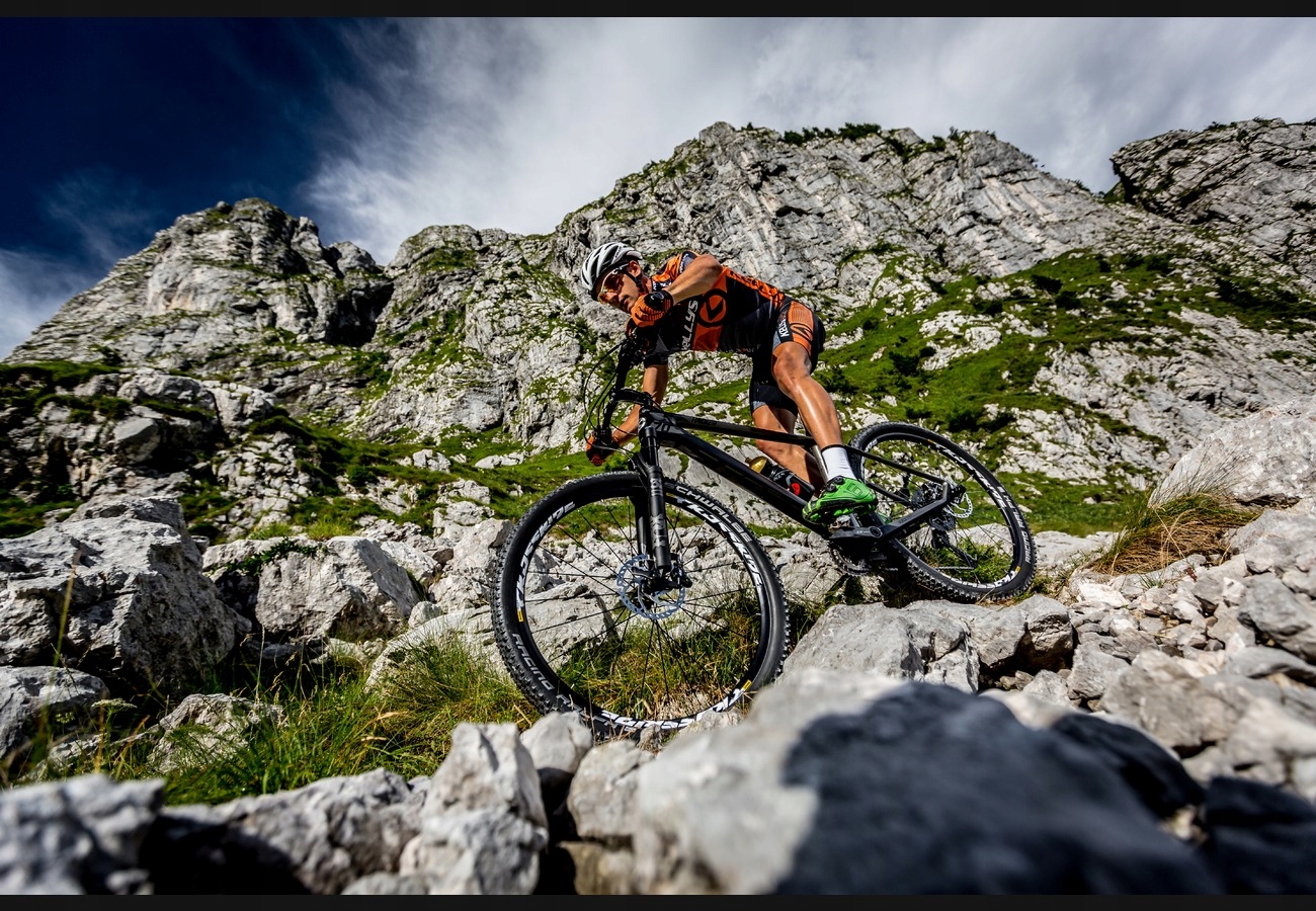 ROWER KELLYS SPIDER 50 BLACK KOŁA 29 RAMA M 19'' Marka Kellys