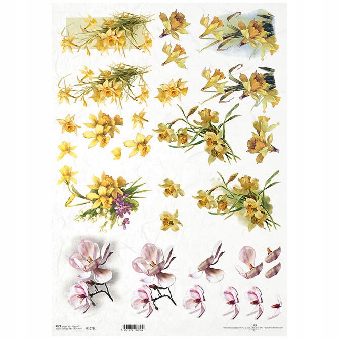 Papier Ryżowy do decoupage A3 ITD-1072L żonkil, magnolia