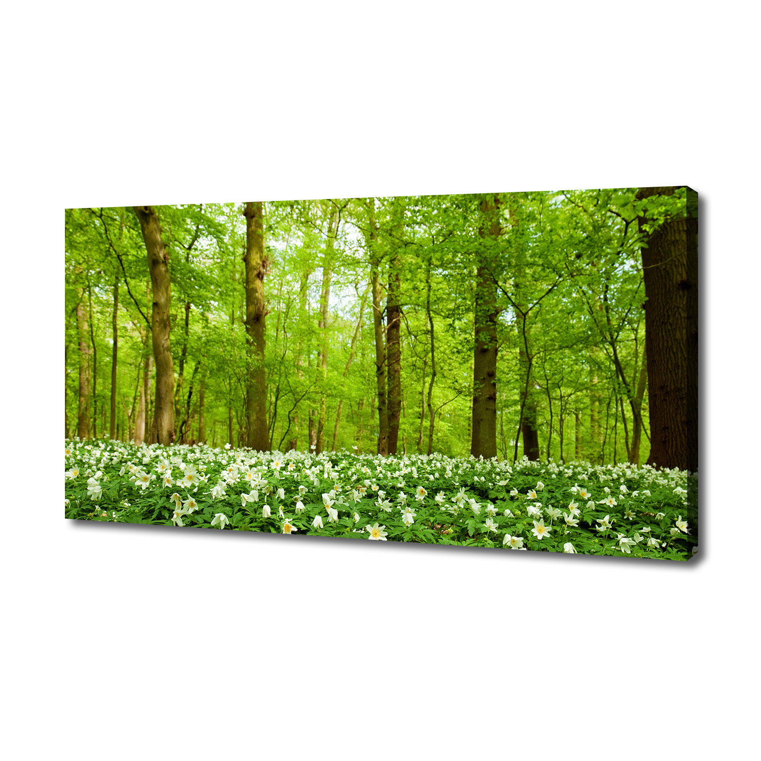 

Foto obraz na płótnie Kwiaty w lesie 140x70 cm