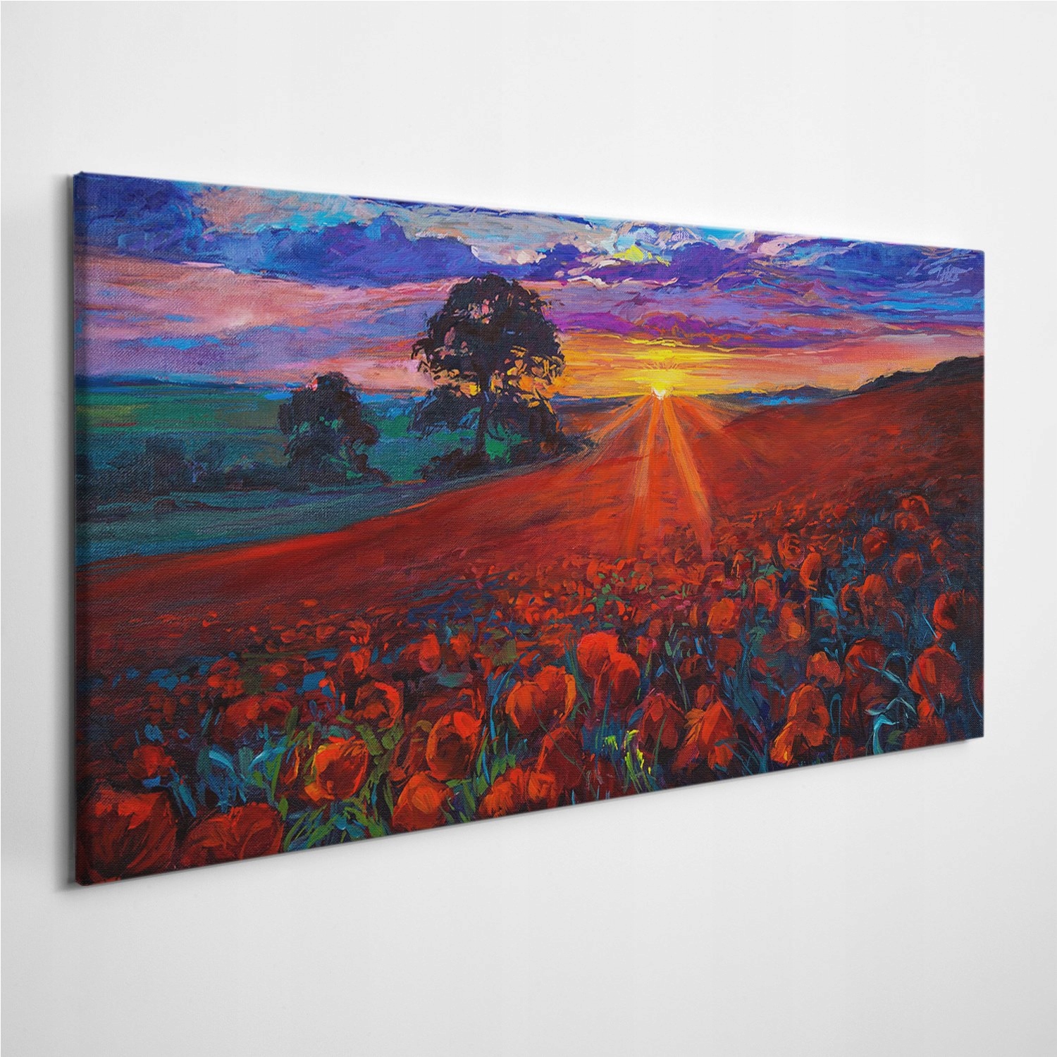 

Fotoobraz na płótnie Łąka Maki Krajobraz 120x60 cm