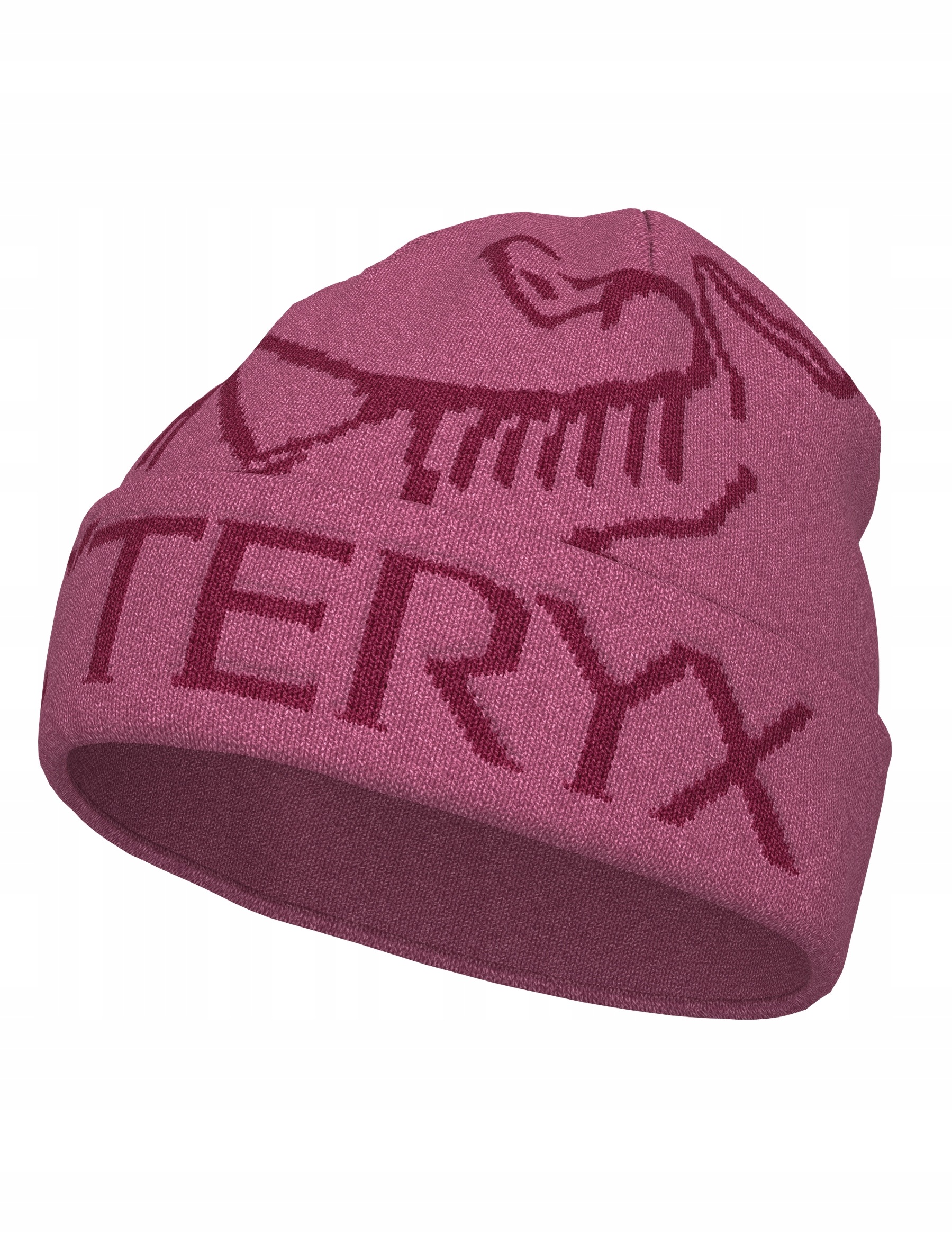 Czapka Arcteryx Bird Word Toque lt renegade/renegade