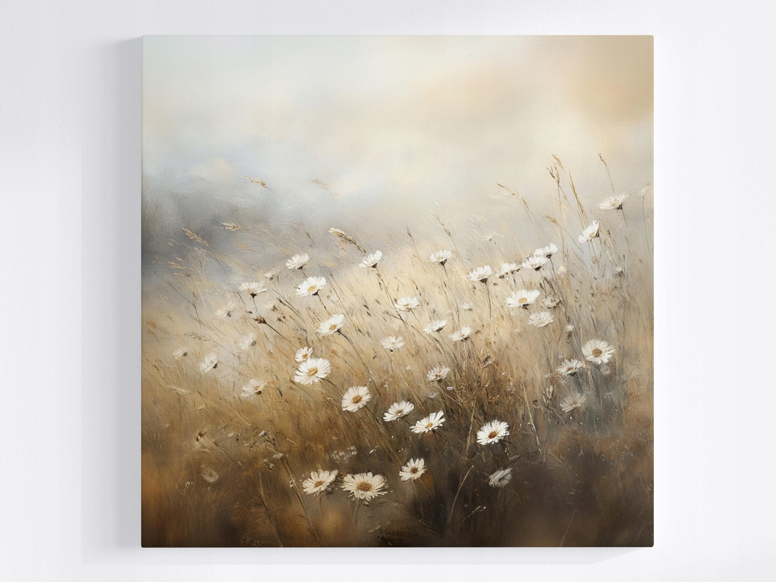 Obraz Na Plátně Canvas Příroda Venkovní Louka Květiny Sedmikrásky 60x60