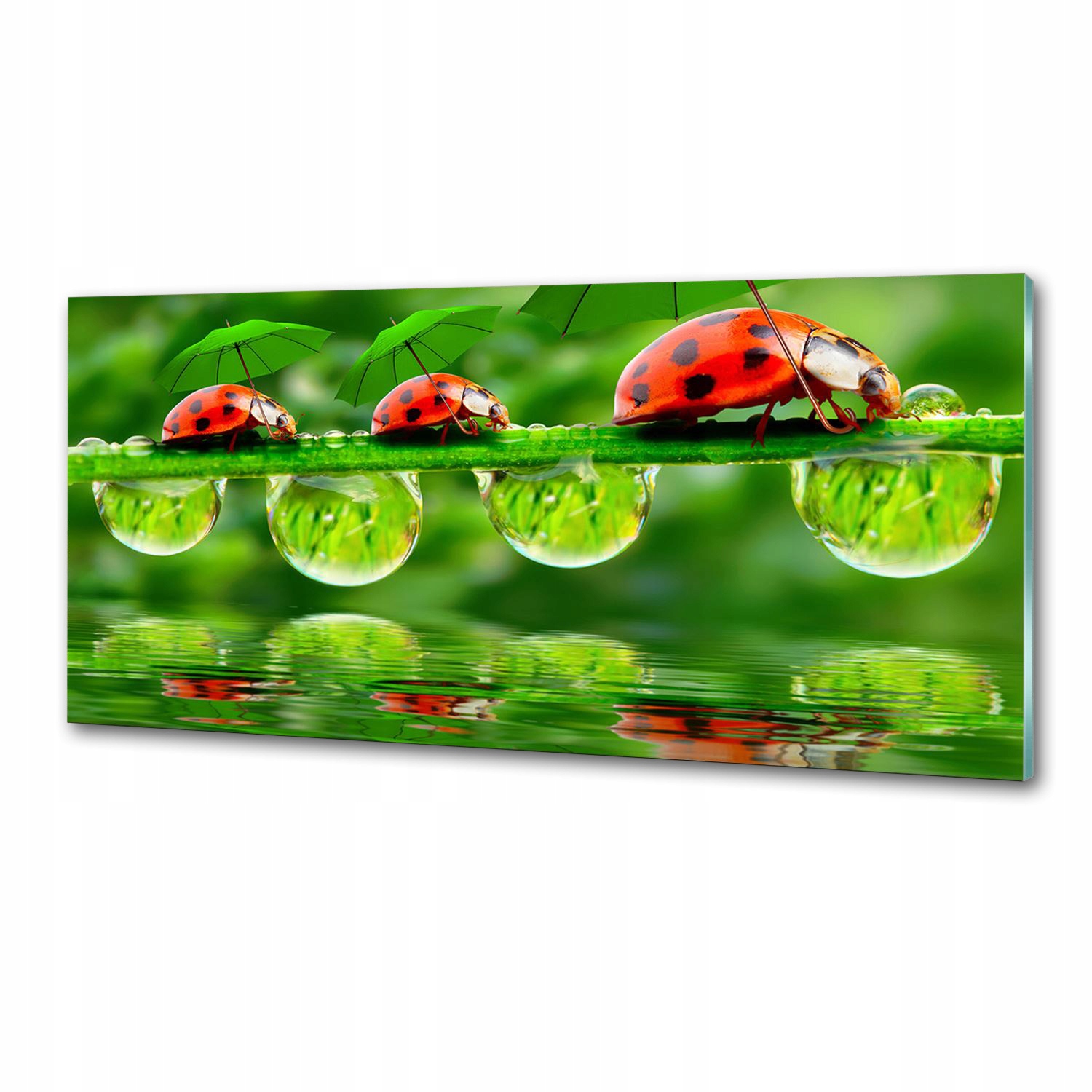 Panel do kuchyne Lienky, dáždniky 125x50 Lepidlo