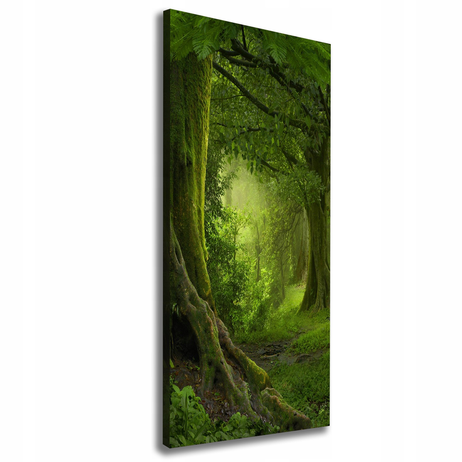 

Foto obraz na płótnie Tropikalna dżungla 50x125 cm