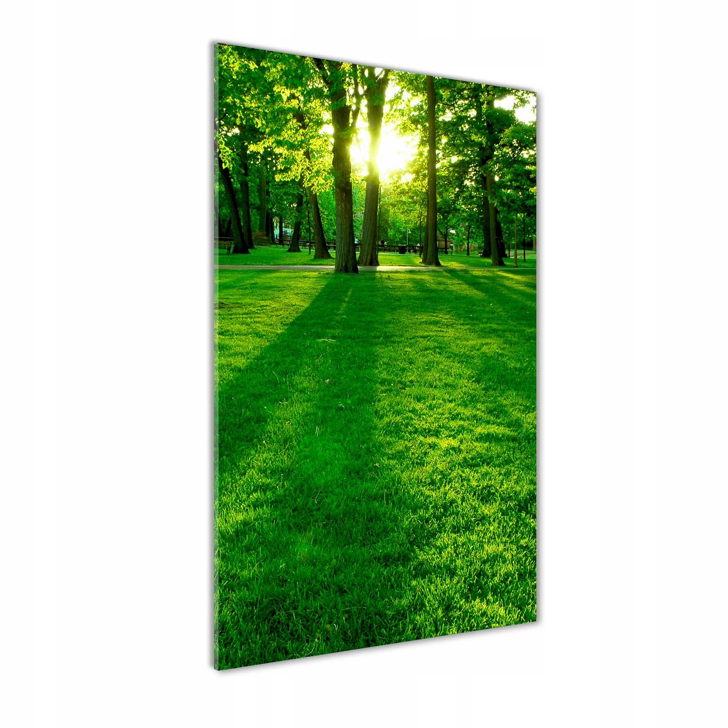 

Foto obraz akryl do salonu Słońce w parku 60x120cm