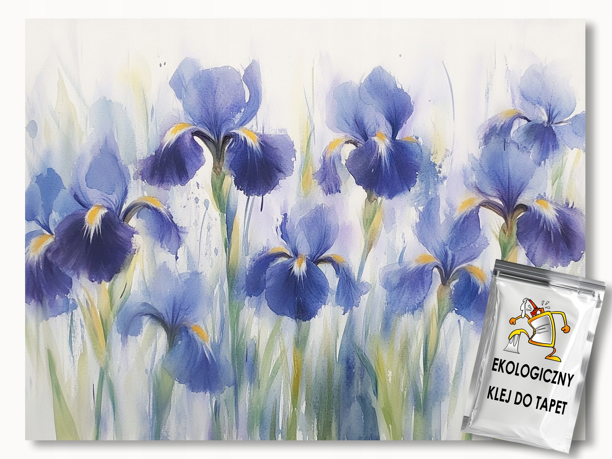 Fototapeta Flizelina Příroda Zahrada Klomb Květiny Irys Kosaciec 416x254 130g
