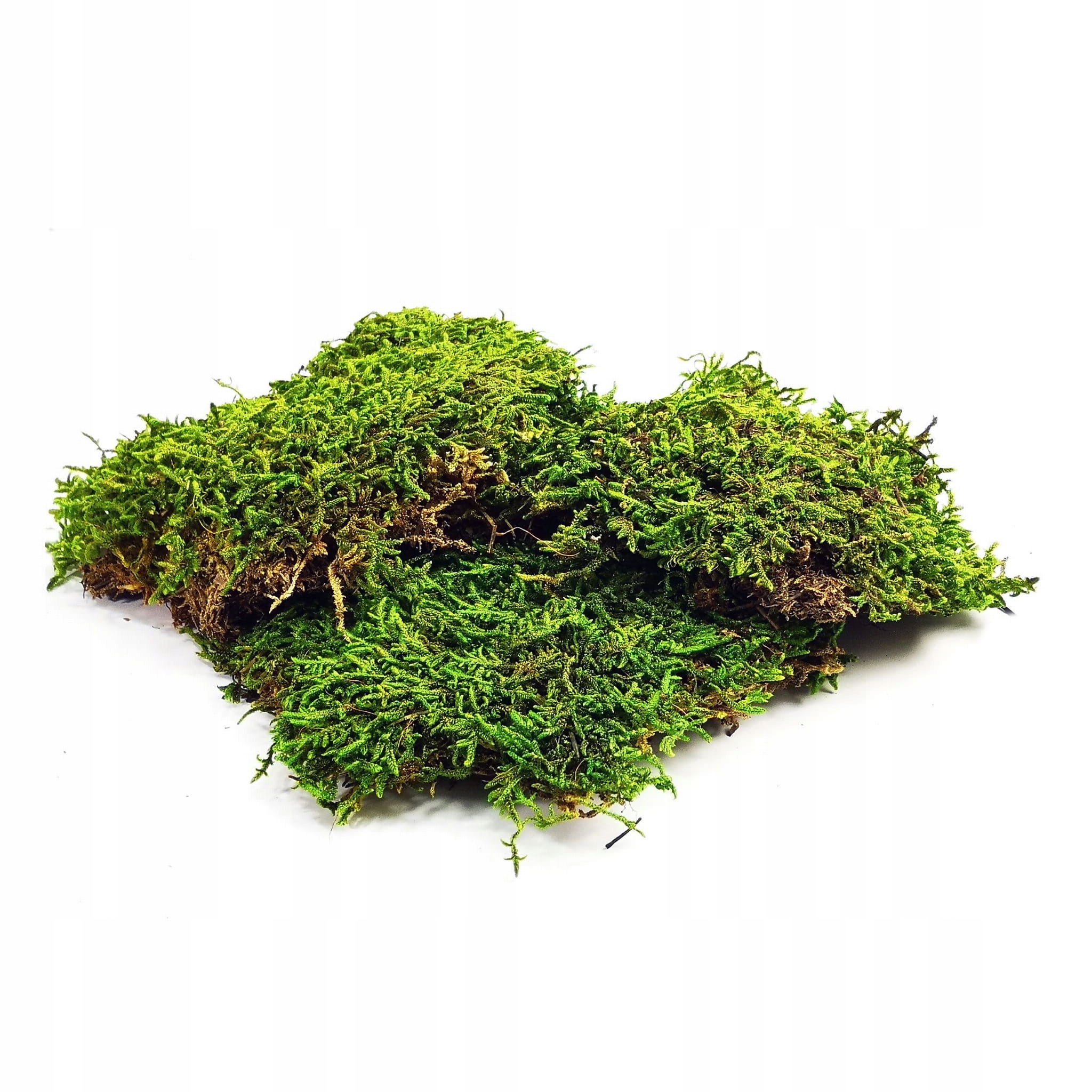 BioFlat Moss Mech płaty 100g Kod producenta BioFlat Moss100g