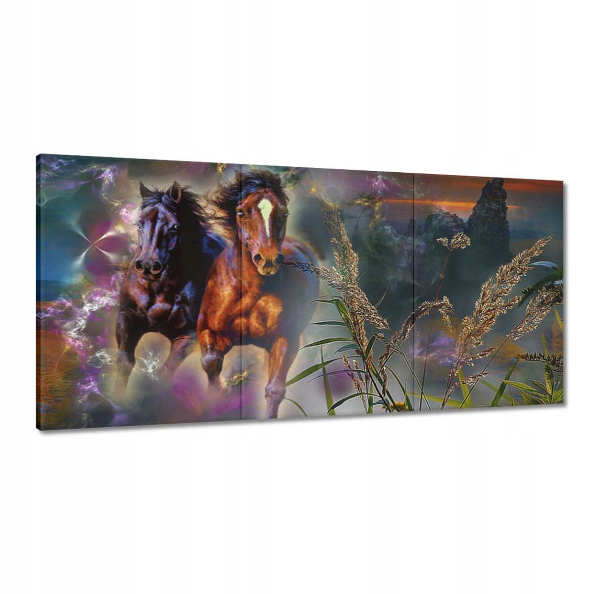 Obrazy 180x90 Cválajúce kone Kôň
