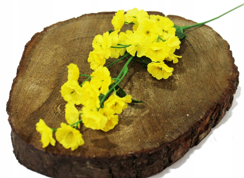 

Gipsówka Niezapominajka Gałązka Żółta 39 cm