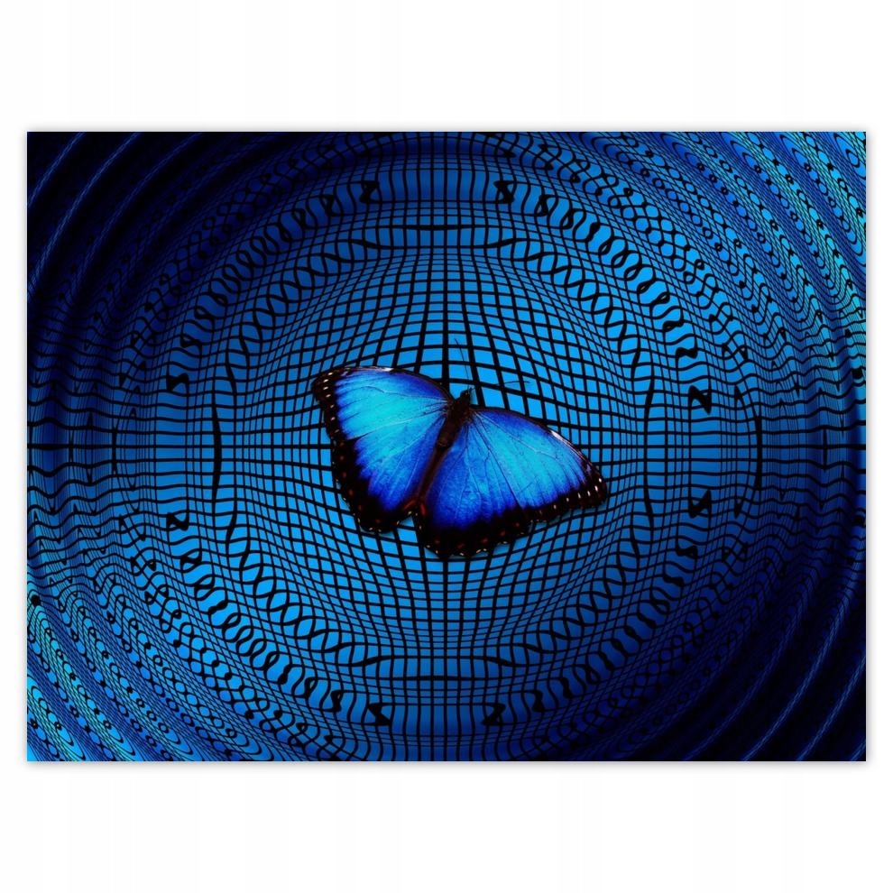 

Plakat 40x30 Motyl na basenie