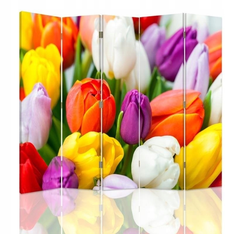 Dvojstranný paraván, farebné tulipány 180x170
