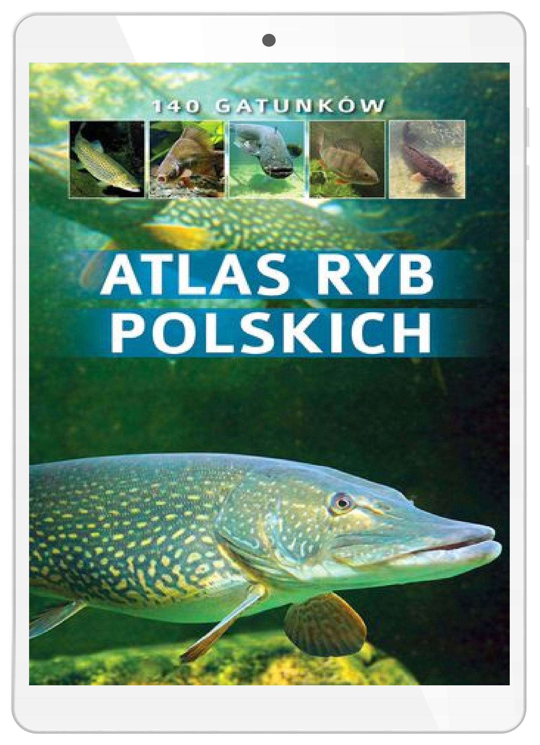 Атлас польских рыб