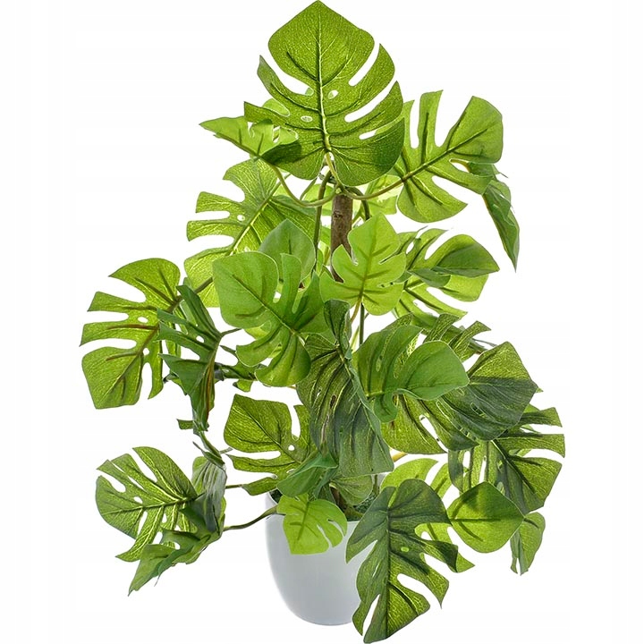 MONSTERA SZTUCZNA ROŚLINA DONICZCE KWIAT LIŚCIE 30 Typ inny