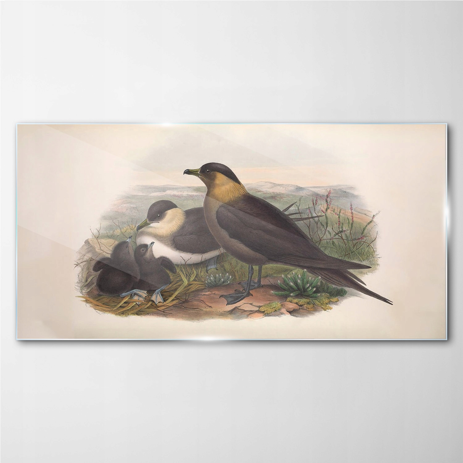 

Obraz na ścianę szklany Ptaki zwierzęta 140x70 cm