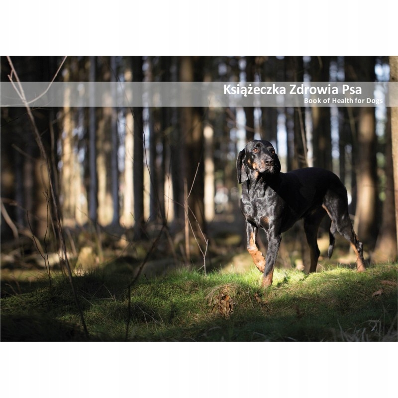 

Książeczka zdrowia psa gończy polski