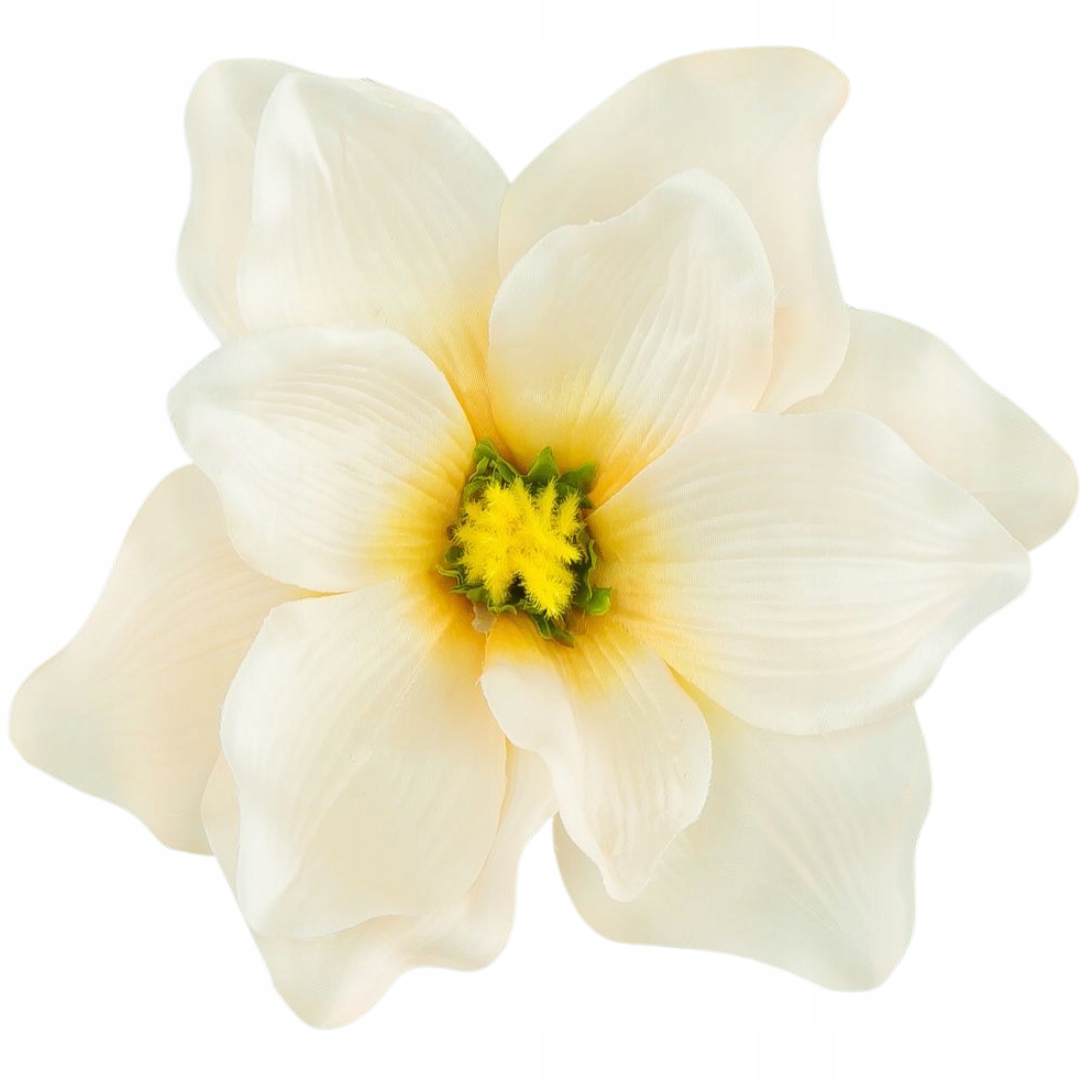 

[w04029] Główka kwiatowa magnolia 18cm jasnobeżowa