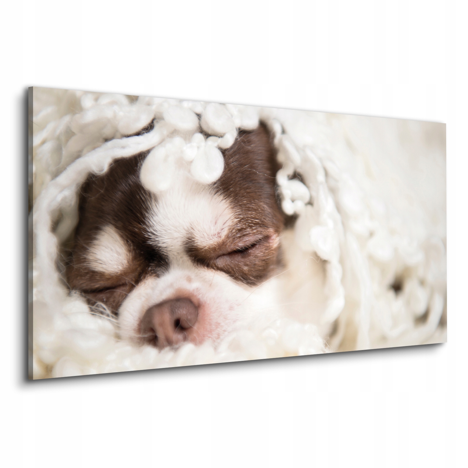 do obývacího pokoje Canvas obdélníková deka pejsek sen 120x60