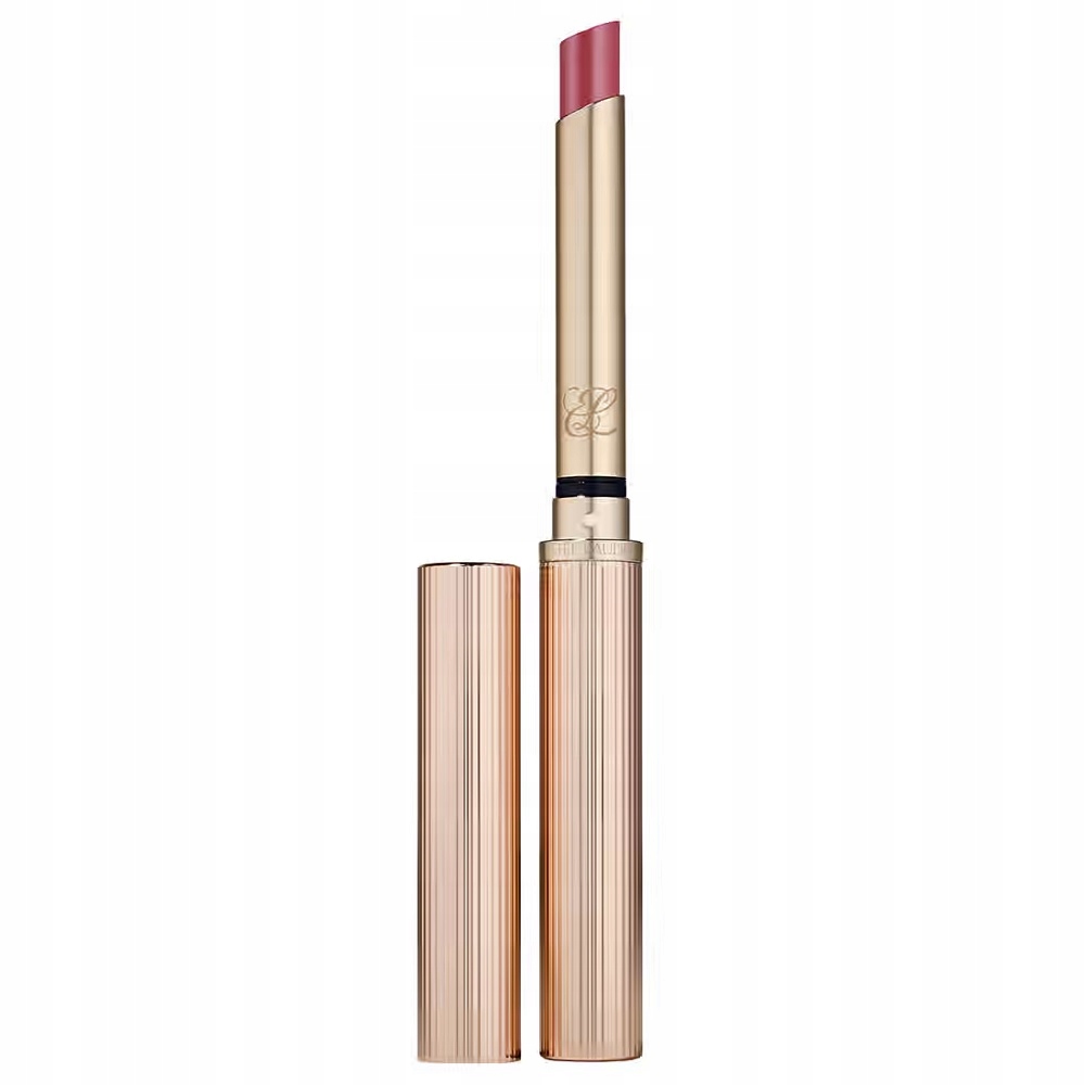 Estee Lauder Pure Color Explicit Dlouhotrvající Lesk Na Rty 119