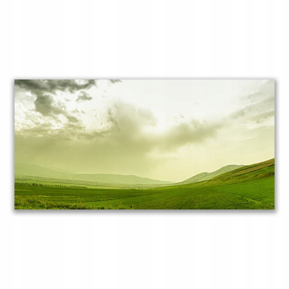 

Obraz z grafiką 120x60 Łąka Natura Zielony Widok