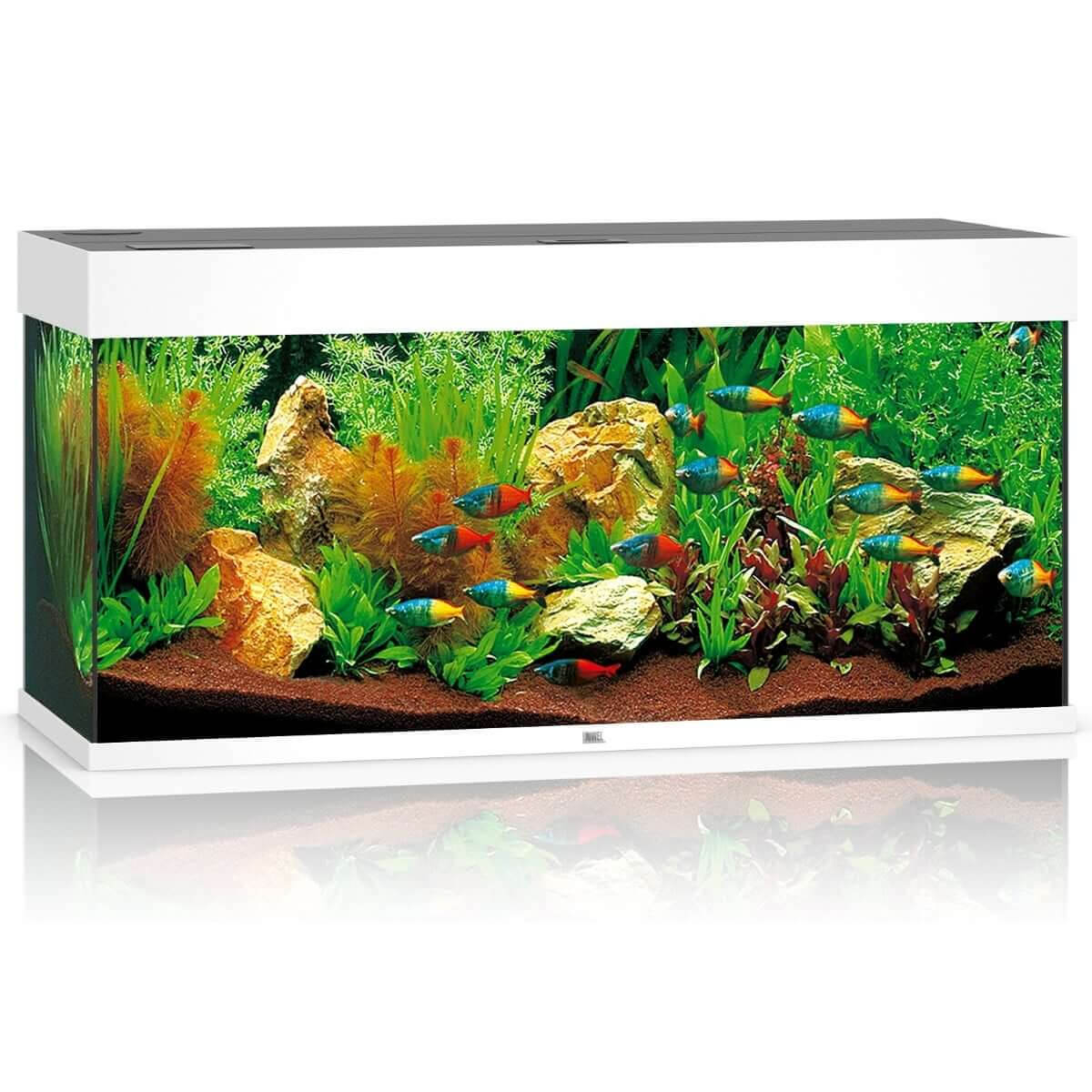 Juwel Rio 180 Led Akwarium Zestaw Biały