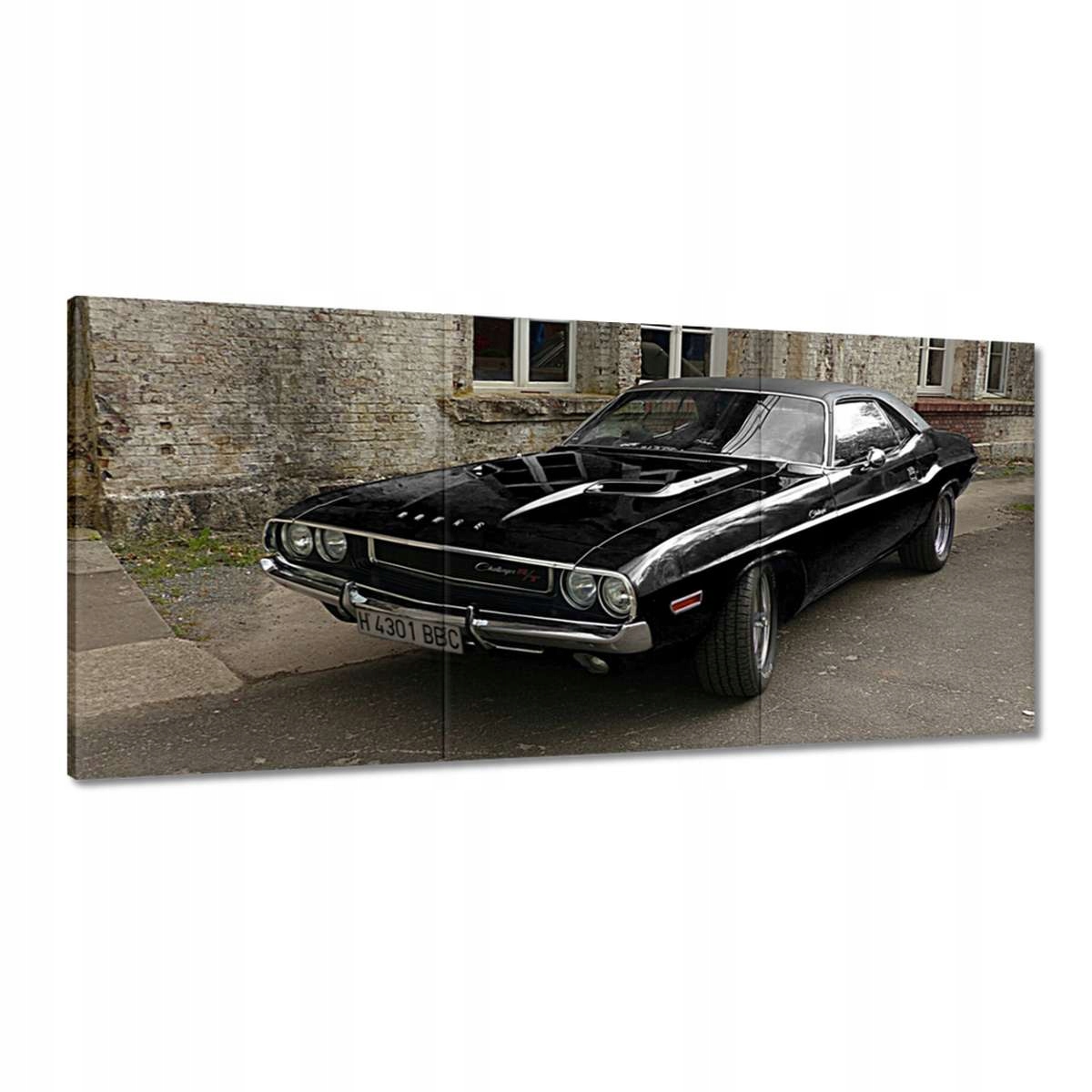 Obrazy 210x100 Dodge Challenger Rt Auto
