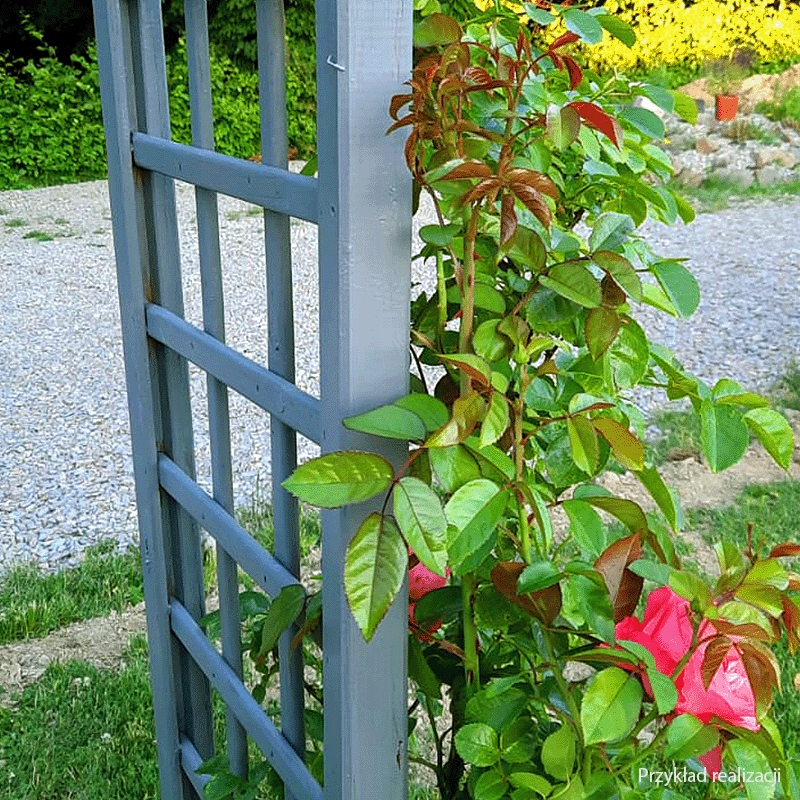 Lakierobejca do drewna 700ml SZARA DRAGON Czas schnięcia 2 h