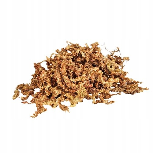 

Mech Torfowiec Sphagnum Spagnum 50g Am Amazoonia