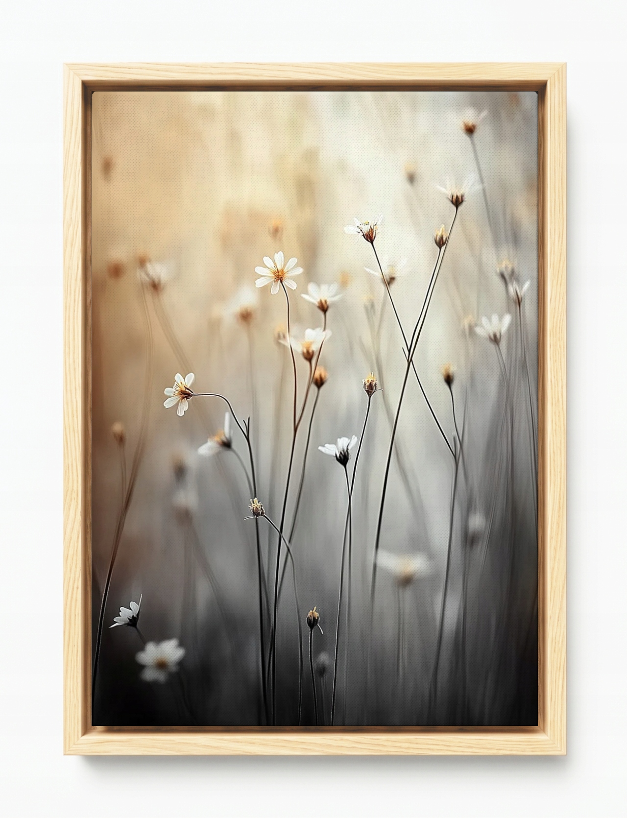 Obraz Rám Americký Box Ráno Louka Květiny Sedmikrásky Heřmánek Bokeh 40x60