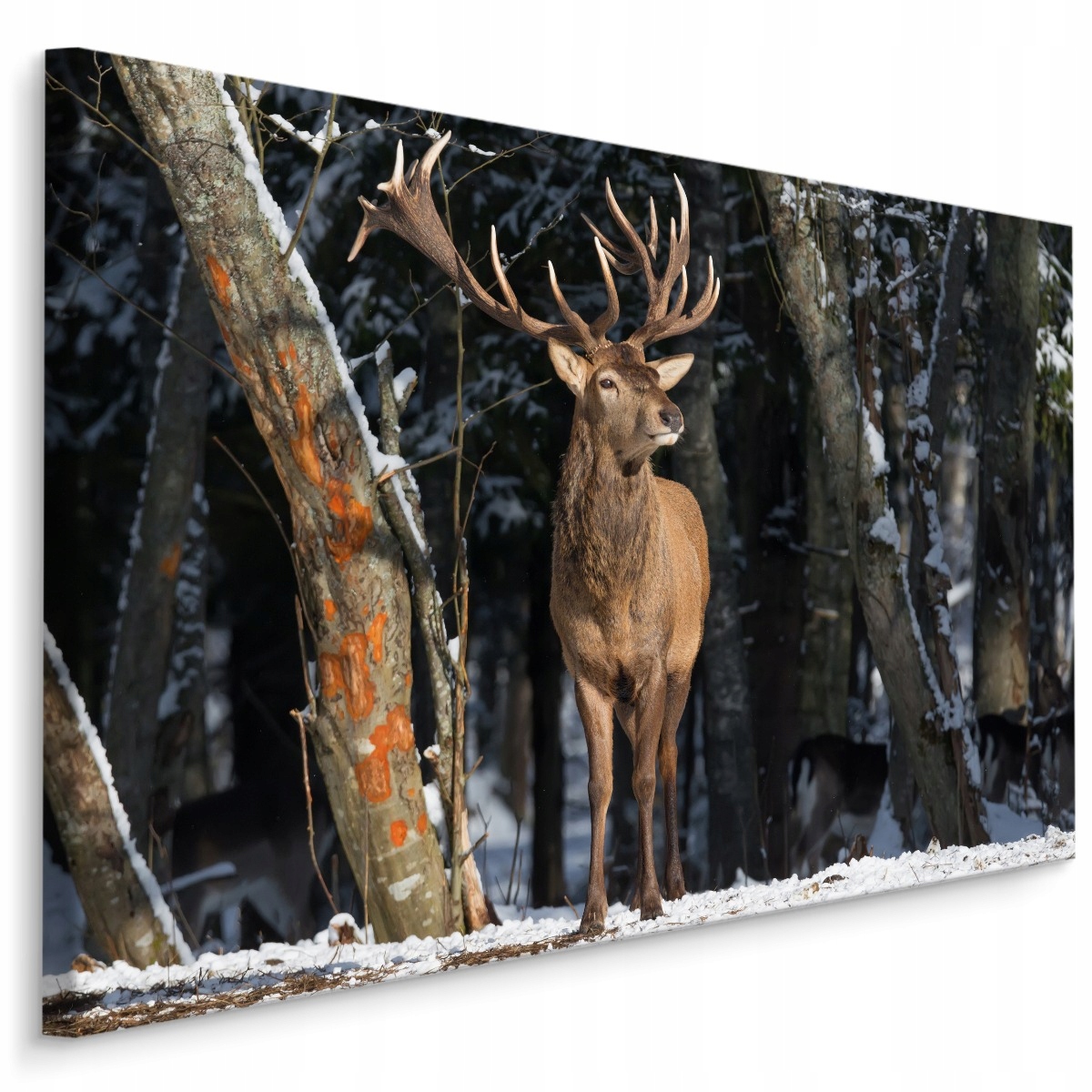

Obraz Ścienny Jeleń Drzewa Zima Natura 3D 90x60